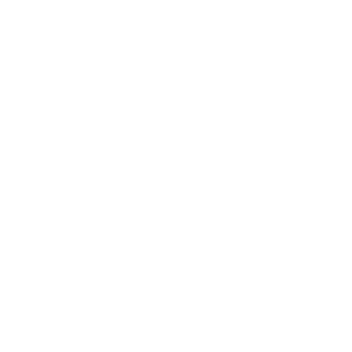 LeoonardoPJ's emblem