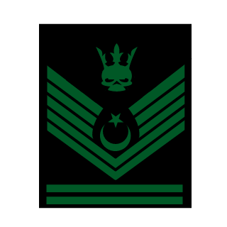 BadcamperA's emblem