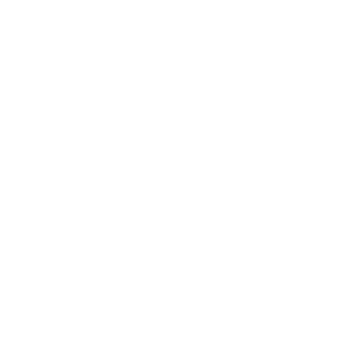 Scaleo1988geb's emblem