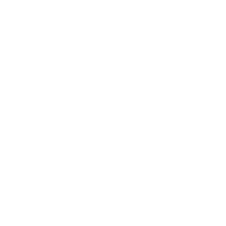 yaPASnice's emblem
