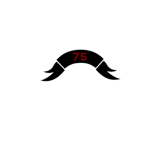 TF RANGER 1993's emblem