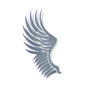 CodeZeroz's emblem