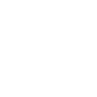 ffffa09915e99053's emblem