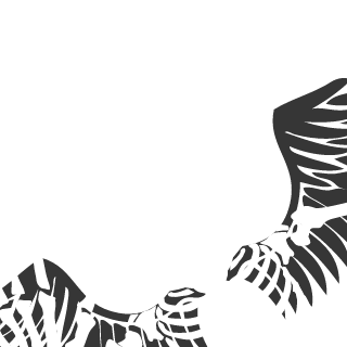 richard9303's emblem