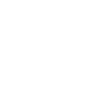 YT_S1nery's emblem