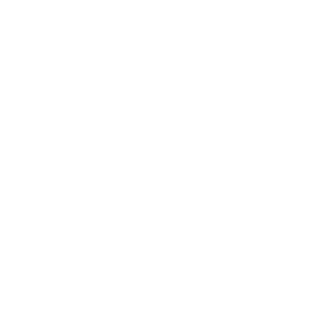 Salt-Consultant's emblem