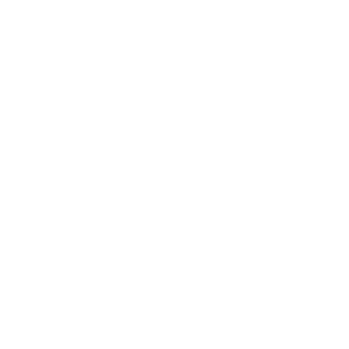 Dkskyrim's emblem