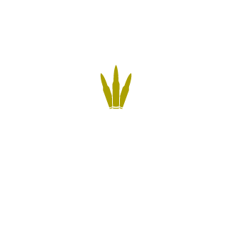 Sosochek_Enota's emblem