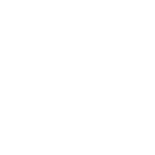 Anaxes27's emblem