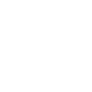 VeteranVetnama's emblem