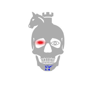Vend3el's emblem