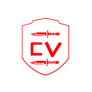 The Chaos Vangaurd's emblem