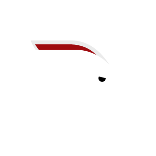 hiccups5's emblem