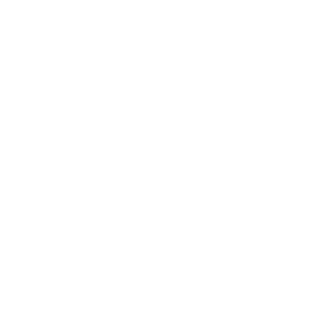 THFifty91's emblem