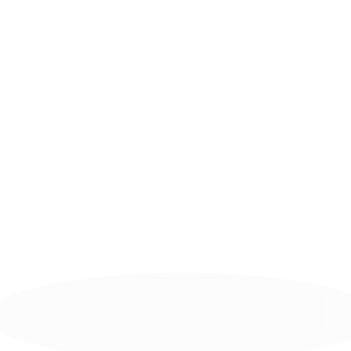 LLCMao's emblem
