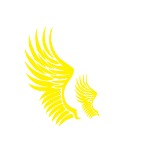 41nd's emblem