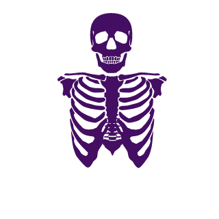 Lanceplayer101's emblem