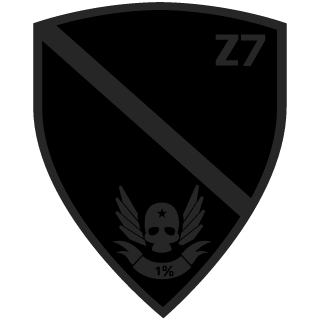 ThisDigitalVeil's emblem