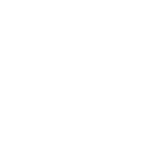 OvechkinRUS's emblem