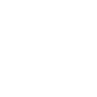 DodoDoido's emblem
