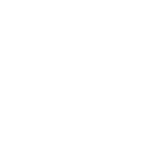 chickenhobo333's emblem