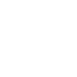 Meax02's emblem