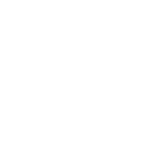 SCH1NDLER's emblem