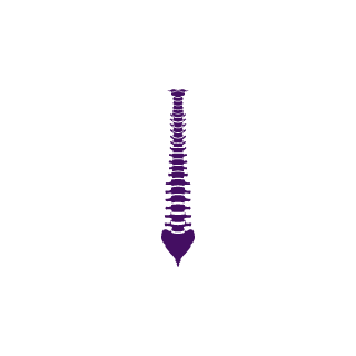 Pyroraptor3146's emblem