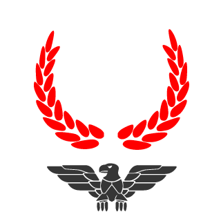 1nfinity_soldier's emblem