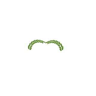 16ashton's emblem