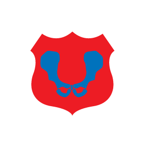 KOR_NVIDIA's emblem