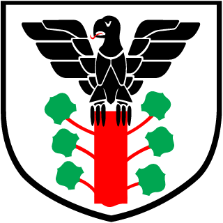 Steiner Gamer Clan's emblem