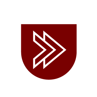 RoneX55's emblem