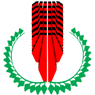 FallingStar-XX's emblem