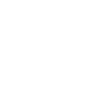 Norik2483's emblem