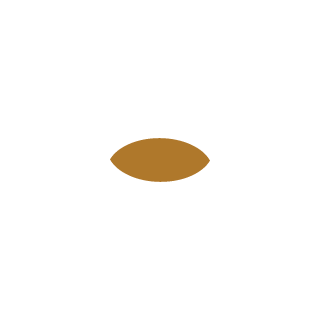 Razorback205's emblem