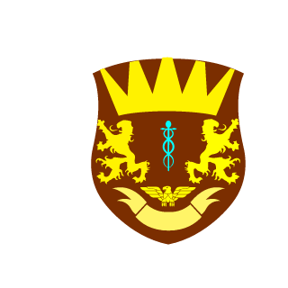 HeIZiTa1YI's emblem