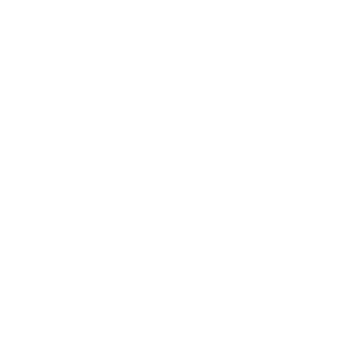 MICHsolyaridze's emblem