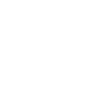 DDZPlaya's emblem