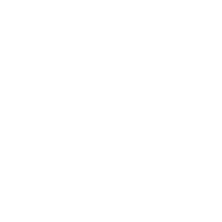 leozinhopinheir's emblem