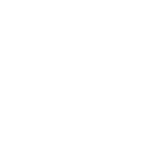 ProKosovic's emblem