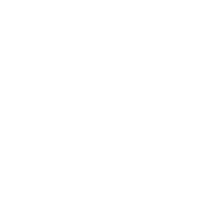 CN-Pro79's emblem