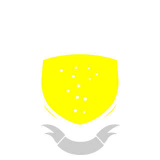 goblinking06's emblem