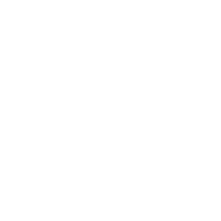 ttcorona's emblem