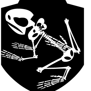 DKKmarcys001's emblem