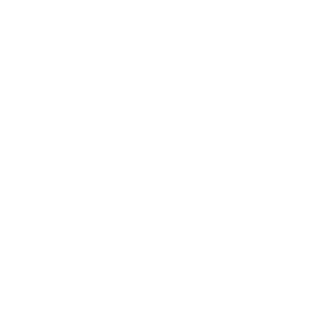 AnUglyElephant's emblem