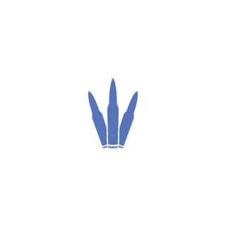 TRi-kev83's emblem