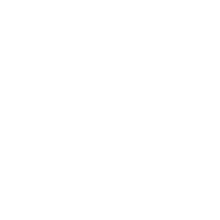 Skyline819's emblem