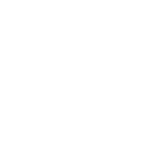 GG_SparKing's emblem
