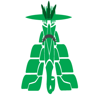 medicated421's emblem